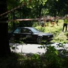 Fotka nr 0 z 16