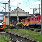 Fotka nr 1 z 3