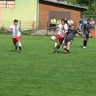 Fotka nr 5 z 12