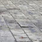Fotka nr 1 z 5