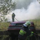 Fotka nr 5 z 27