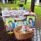 zdjęcie nr 13