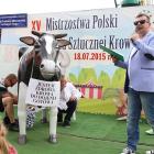 zdjęcie nr 26