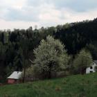 Fotka nr 2 z 15