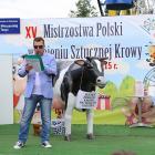Fotka nr 0 z 51