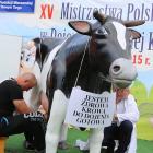 Fotka nr 2 z 51