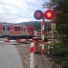 Fotka nr 2 z 3