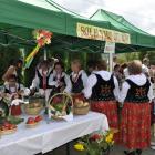 zdjęcie nr 23