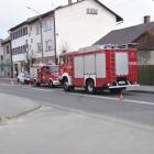 Fotka nr 4 z 7