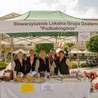 zdjęcie nr 7