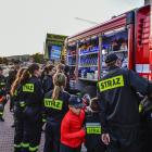 zdjęcie nr 10