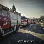 Fotka nr 0 z 59