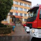 Fotka nr 2 z 21