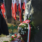zdjęcie nr 31