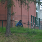 zdjęcie nr 38