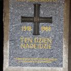 zdjęcie nr 30