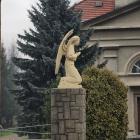 zdjęcie nr 8