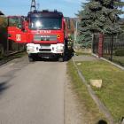 Fotka nr 1 z 3