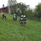 zdjęcie nr 8
