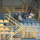 zdjęcie nr 13