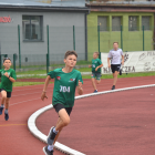 Fotka nr 4 z 93