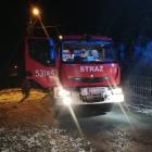 Fotka nr 1 z 7