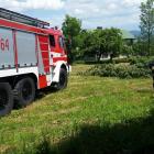 Fotka nr 1 z 6