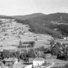 Fotka nr 4 z 10