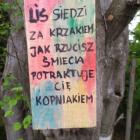 Fotka nr 2 z 5