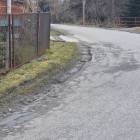 Fotka nr 1 z 5