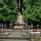 zdjęcie nr 77