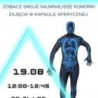 zdjęcie nr 8