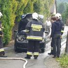 Fotka nr 2 z 4