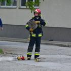 Fotka nr 5 z 41