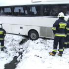Fotka nr 5 z 6