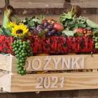 zdjęcie nr 46