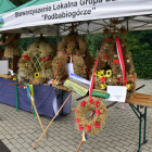 zdjęcie nr 15
