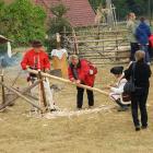zdjęcie nr 7