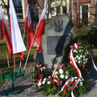 zdjęcie nr 43