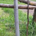 Polskie Towarzystwo Tatrzańskie - Oddział w Bielsku-Białej