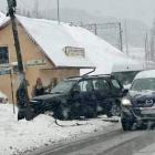 Fotka nr 1 z 2