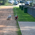 zdjęcie nr 13