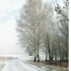 zdjęcie nr 12