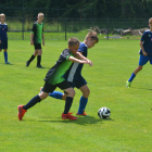 zdjęcie nr 113
