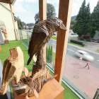 zdjęcie nr 16