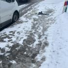 Fot. Małopolska alarmowo 