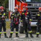 Fotka nr 4 z 17