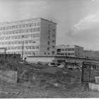 zdjęcie nr 20