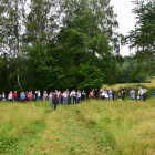 zdjęcie nr 16