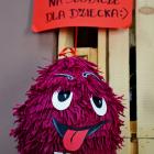 zdjęcie nr 11